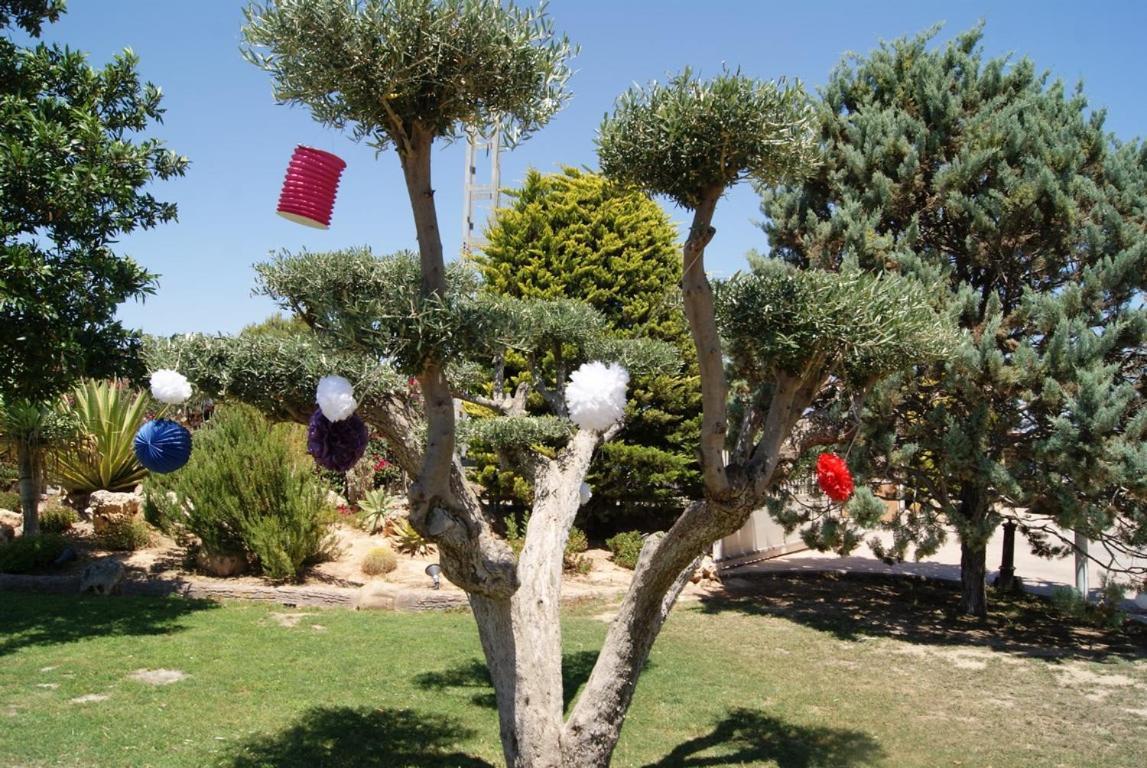 Los Jardines De Lola Daimés Eksteriør billede