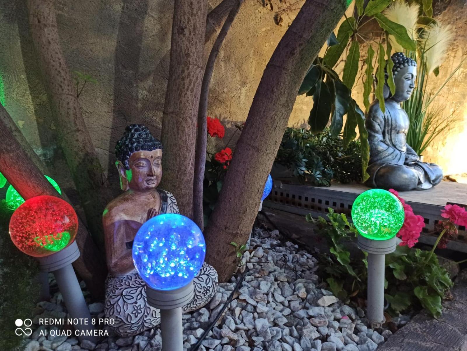 Los Jardines De Lola Daimés Eksteriør billede